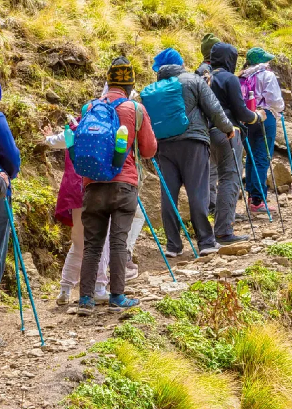 Gangotri Trek