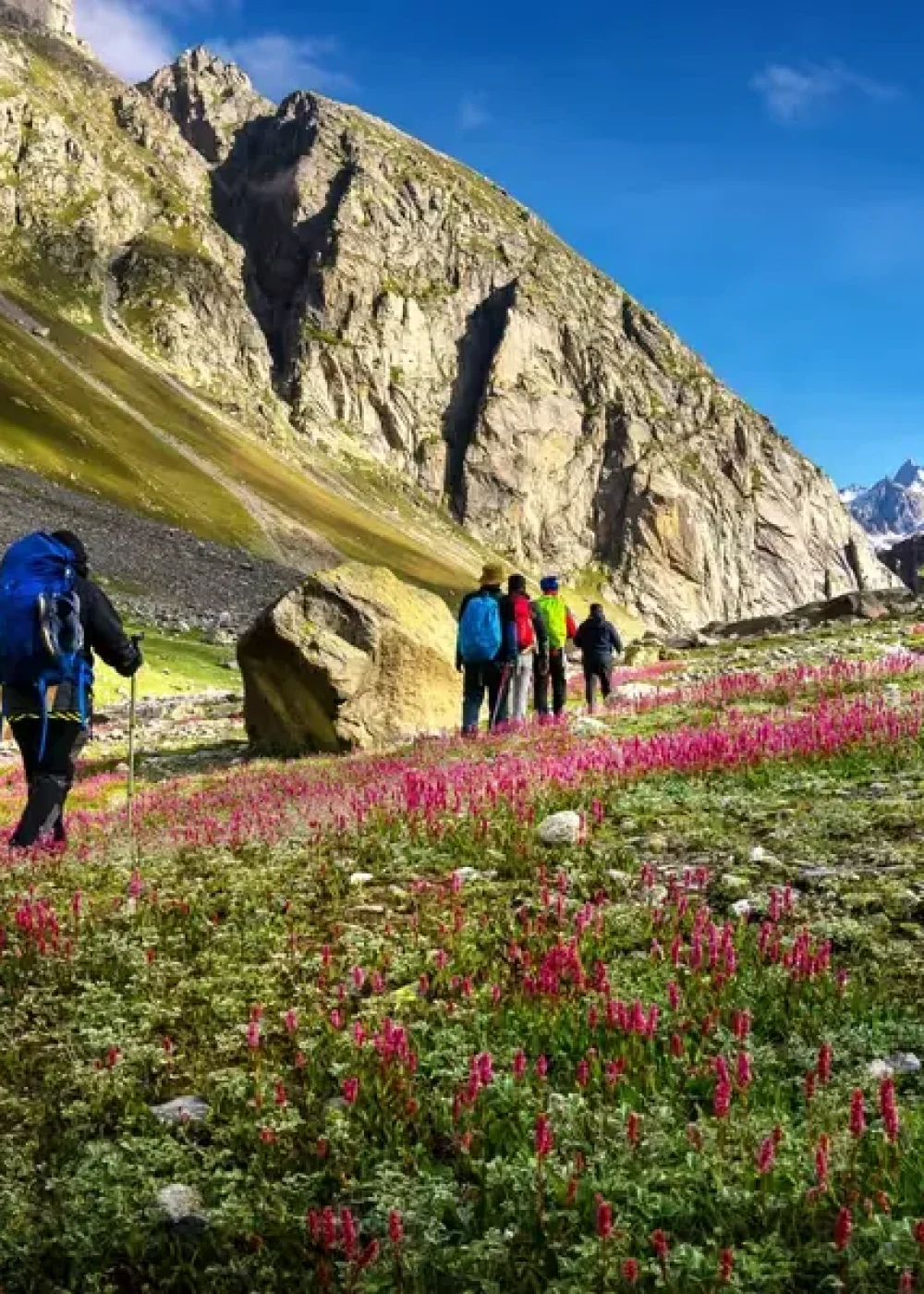 Hampta Pass Trek from Manali
