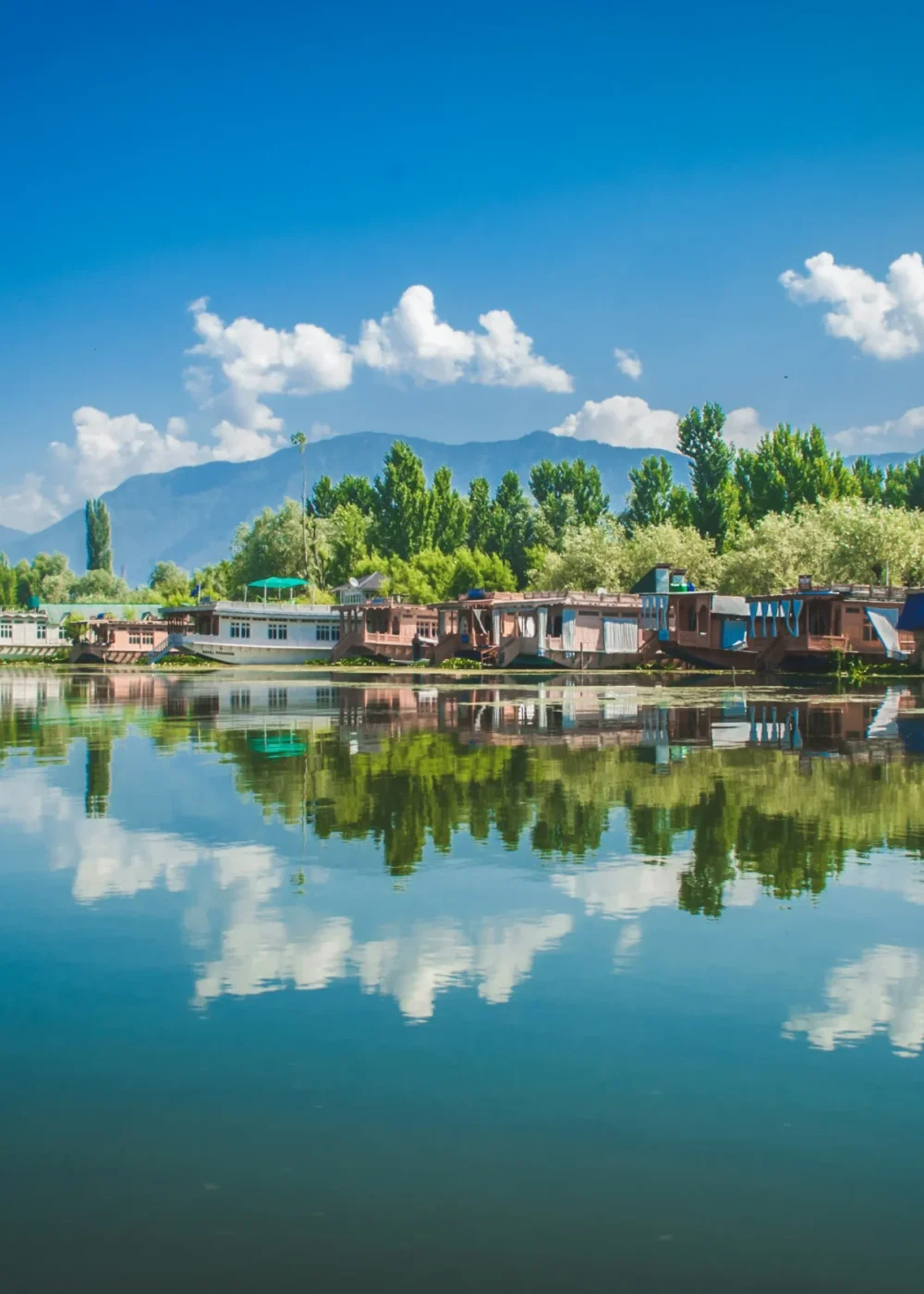 Kashmir_tour_gallery