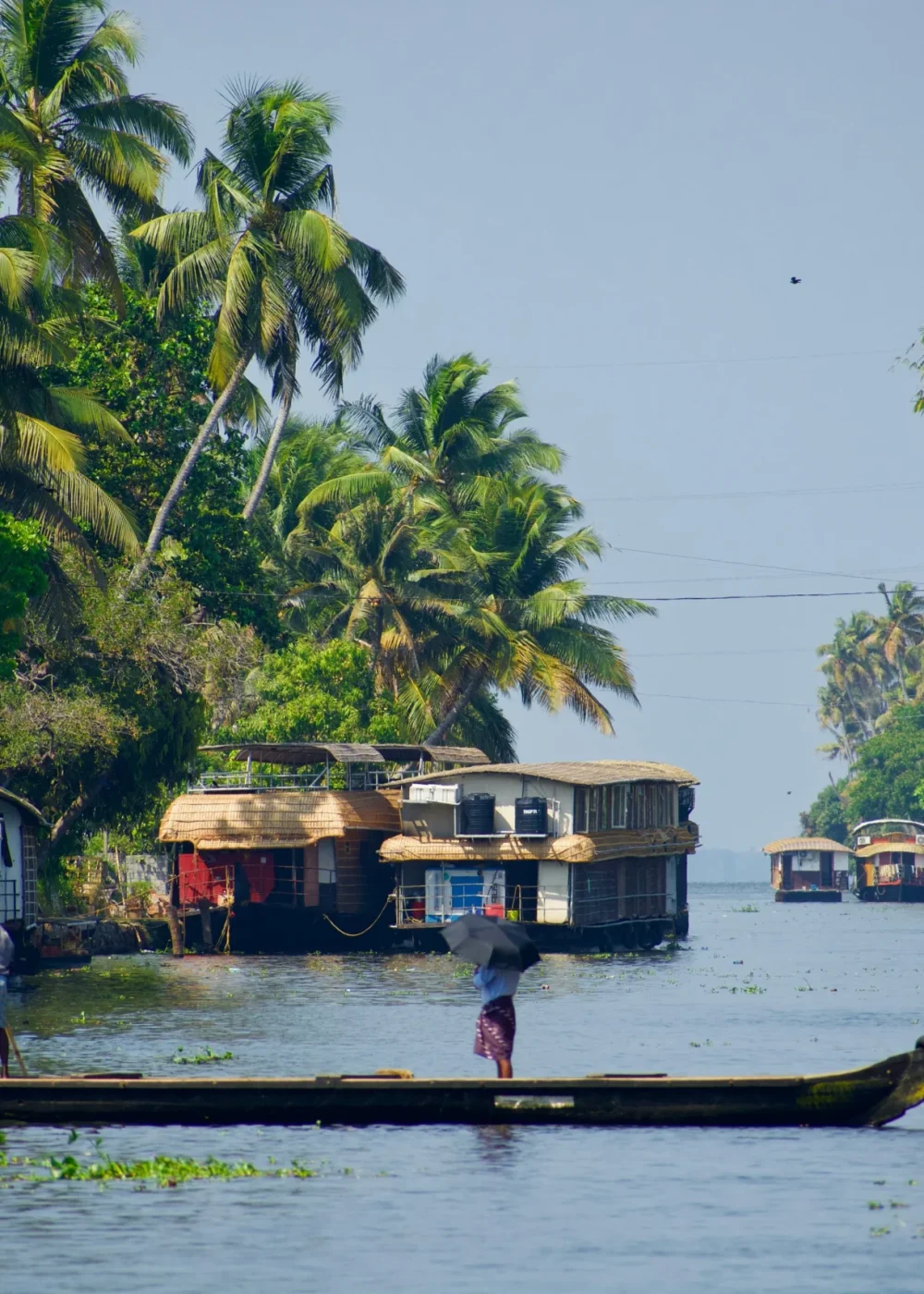 Kerala Backwaters_3